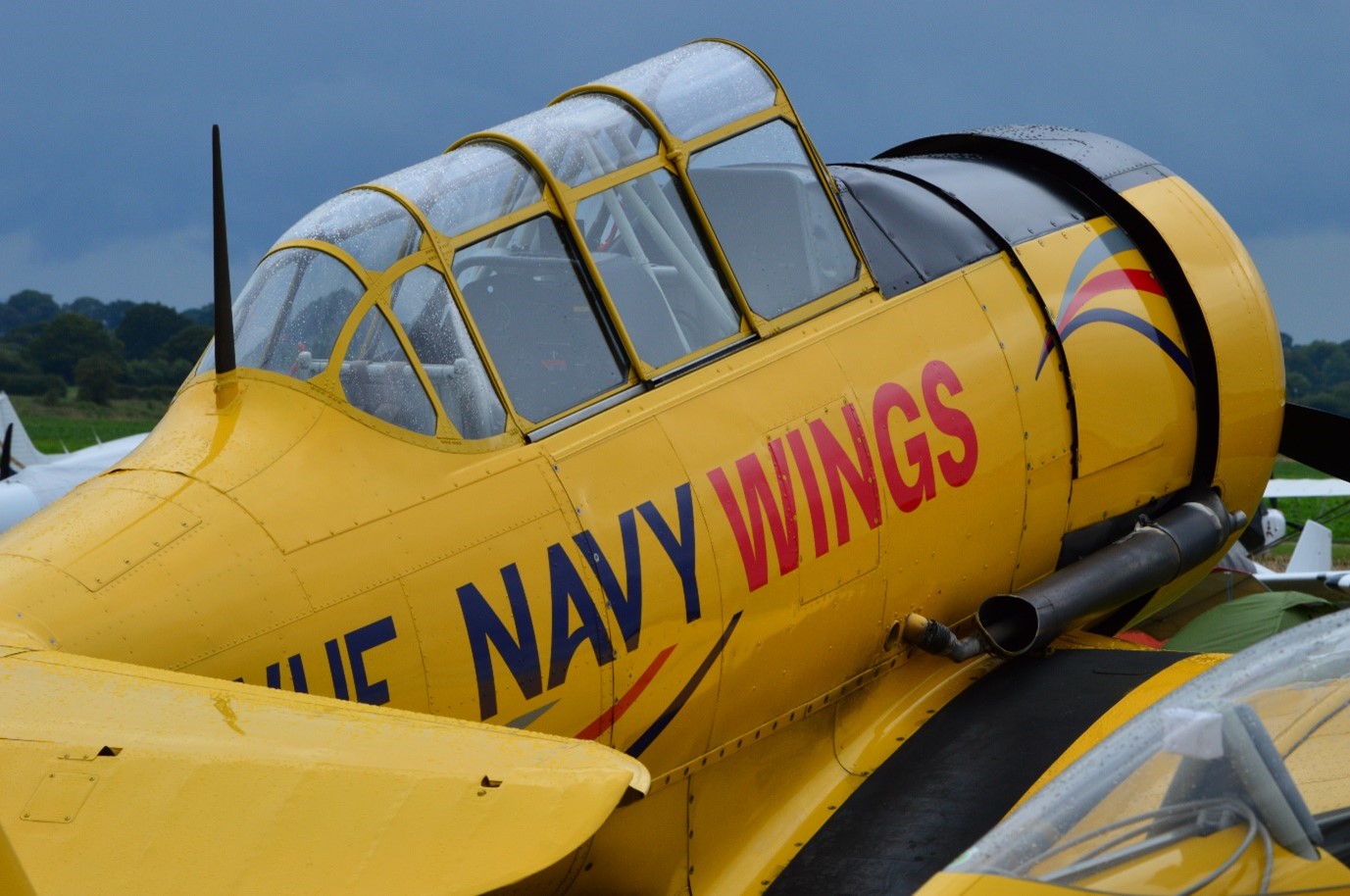 Navy Wings T6 at Sleap